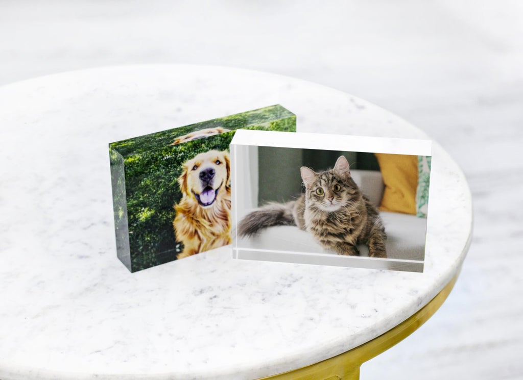 Pet photos as acrylic blocks. Standalone acrylic blocks with pet portraits. Dog acrylic block and cat acrylic block.